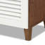 21 Pair Shoe Storage Cabinet
