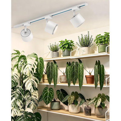 Barrina Tr40c Track Grow Light For Indoor Plants, 15°-60° Adjustable Beam Angle, 3 X 40w, 4000k Full Spectrum Led Plant Lights, Plug In Ceiling Mounted Grow Bulbs For H-type Track With Timer, White