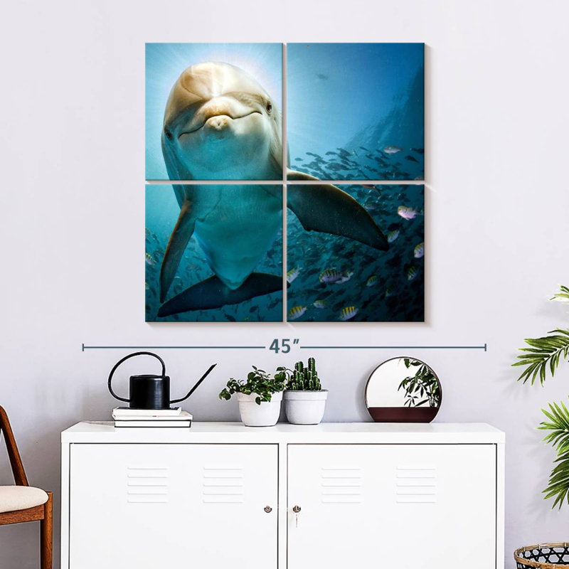 Brampt Curious Dolphin, 32'' H x 32'' W