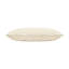 Asher Ivory Gold Pillow