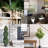 Faux Tree in Pot-1082517376