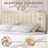Huntsville 4-Drawer Velvet Upholstered Platform Bed-245840174-245840173