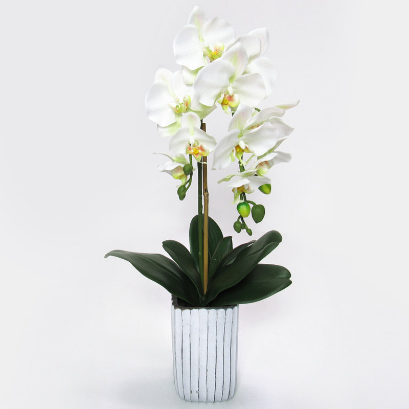 Centres de table orchidées phalaenopsis en pot, H 26 po x l 9 po x P 8 po