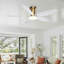 Ventilateur de plafond avec lumière DEL et télécommande-582063161