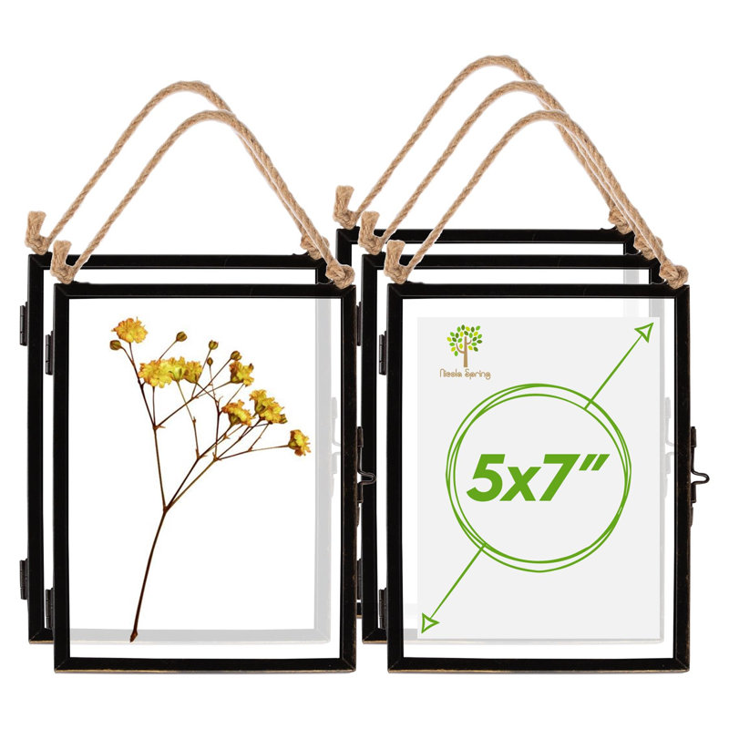 Nicola Spring - Hanging Metal Photo Frames- Black, 5" x 7", Rectangle, 5