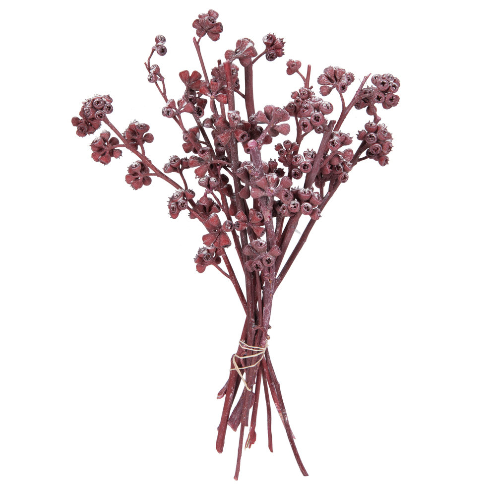 13'' Branch, Red
