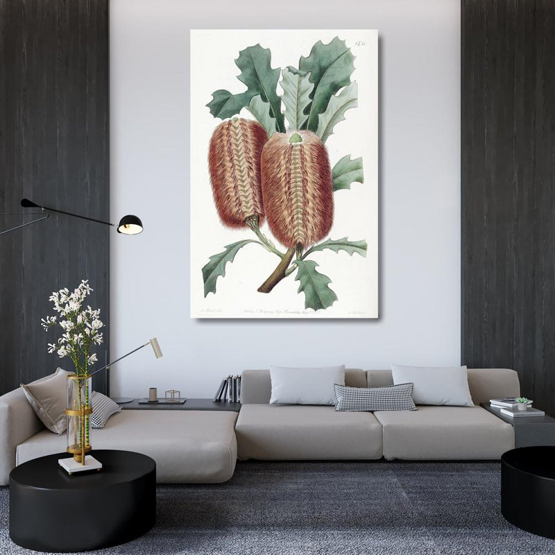 «Oak-Leaved Banksia» par Sydenham Edwards - Art mural sur toile tendue avec châssis, H 48 po x l 33 po