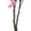 130cm Faux Cherry Blossom Tree in Pot