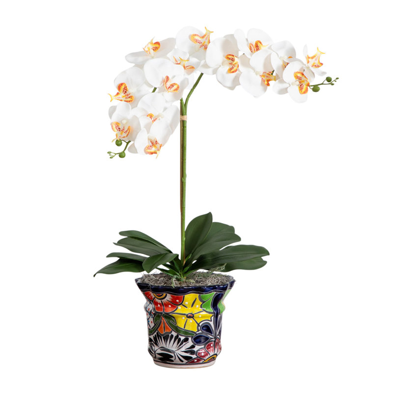 26 po Arrangement artificiel double orchidée dans un pot de fleurs en céramique Talavera mexicain fait à la main