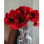 Amaryllis artificiel rouge 19,5 pouces-1479684141