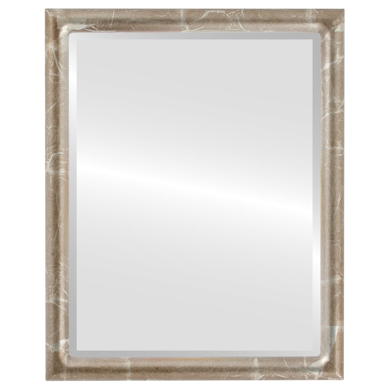 Rowles Rectangle Mirror, Champagne Silver, 25.375" x 19.375"