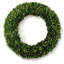 Boxwood Wreath-1919842298
