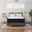 Matelas 14,5 po Dreamsuite Cool Natural-53134298