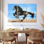 Cheval frison Brampt-108091970