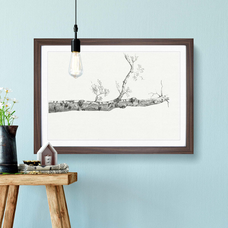 Study of a Tree by Jean Bernard - Picture Frame Drawing Print, Walnut Framed, 36cm H x 48cm W x 2cm D