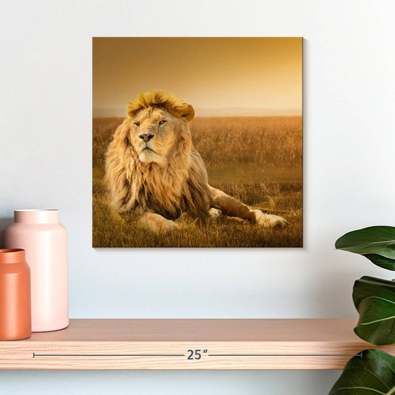 Crowle Glorious Lion en safari, H 16 po x l 16 po