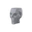 Skull - Stool-513494991