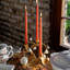 Forest Walk Pumpkin & Vine Candlestick Holder - Gold-616442077-616442051