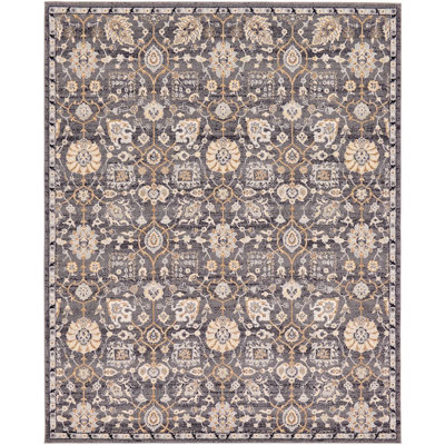 Kasha Oriental Indoor Rug