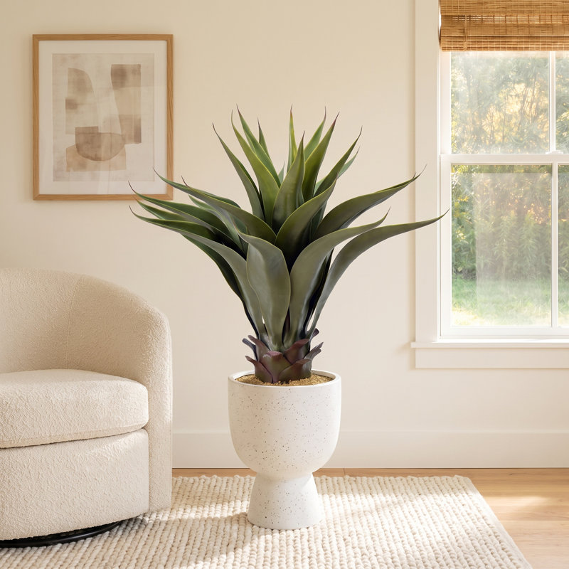 22'' Faux Foliage Succulent in Pot