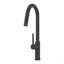 Robinet de cuisine rétractable 18,83 po-121209974