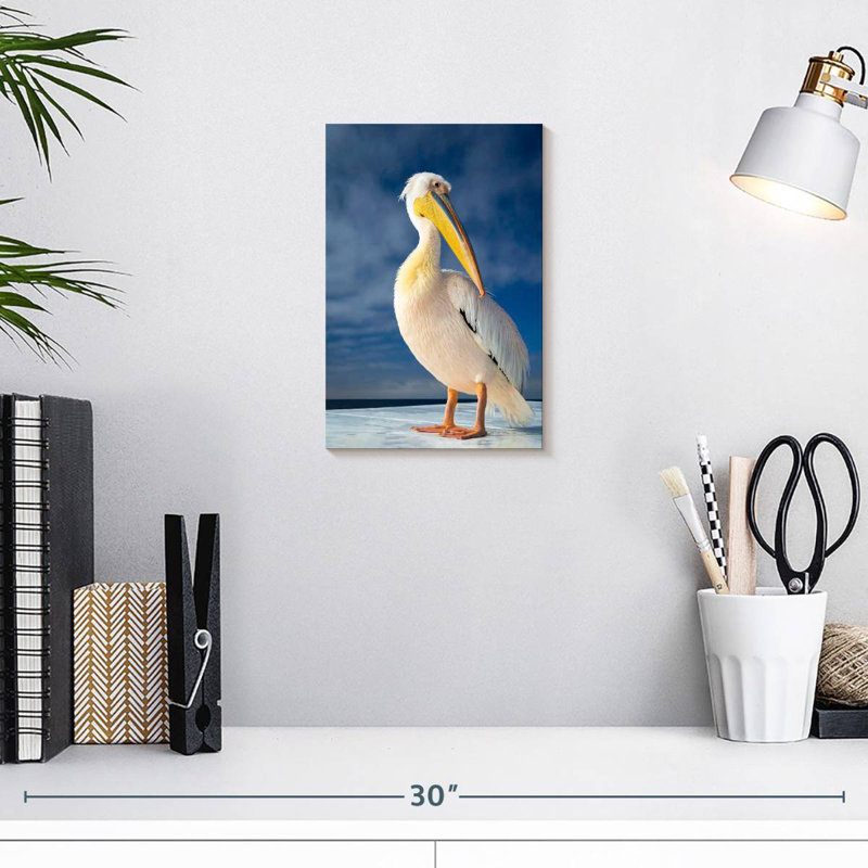 Brampt Shy Pelican, 12" H x 8" W