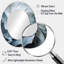 Miroir mural Seashell-1012171618
