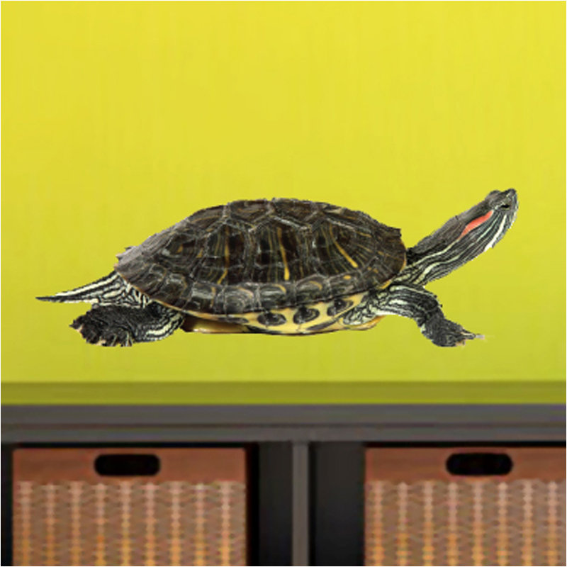 Décalcomanie murale tortue life real life, H 4 po x l 12 po