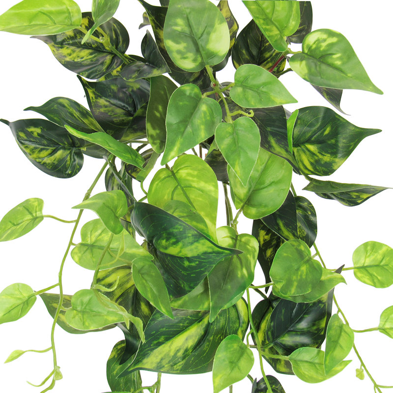 Plante artificielle suspendue lierre Pothos, H 24 po x l 12 po x P 6 po