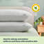 Silentnight Luxury Finish Anti Allergy Pillows