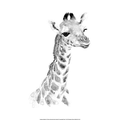 " Gray Baby Giraffe "