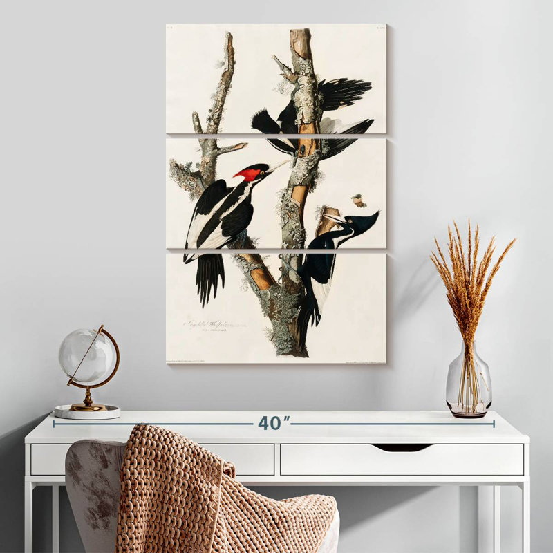Ivory Billed Woodpecker, 32" H x 20" W