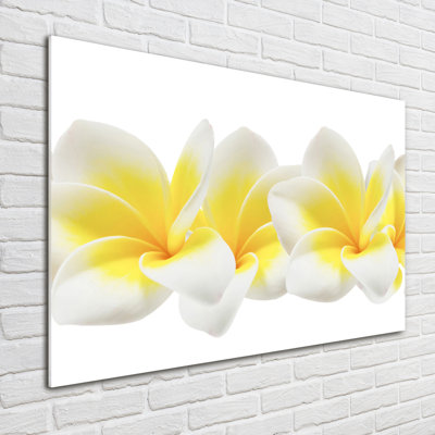 Plumeria - No Frame Print on Glass