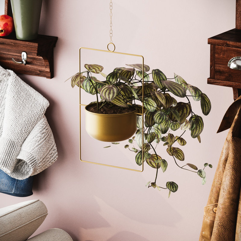 Pot décoratif en métal Becontree Elegant, finition dorée, 9,8 po x 15,7 po x 6,7 po | Fabrication 100% métal, poids léger de 1,3 lb, capacité maximale de 11 lb | Parfait pour la décoration intérieure et la présentation de plantes, y compris les appareils de suspension