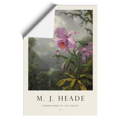 Hummingbird on the Orchid Plant Print by Martin Johnson Heade - Frameless Print