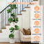 Faux Plant-1368518105