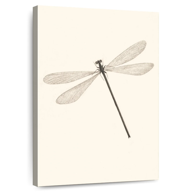 A Classic Dragonfly, 24" H x 16" W