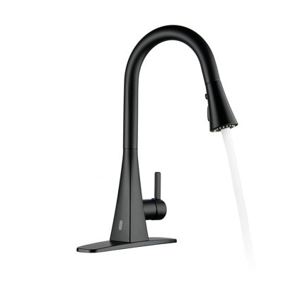 Pull-Down Kitchen Faucet with Touchless Sensor