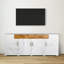 Akenside Unfinished TV Stand for TVs up to 88"-1494624821