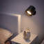 Metal Desk Lamp