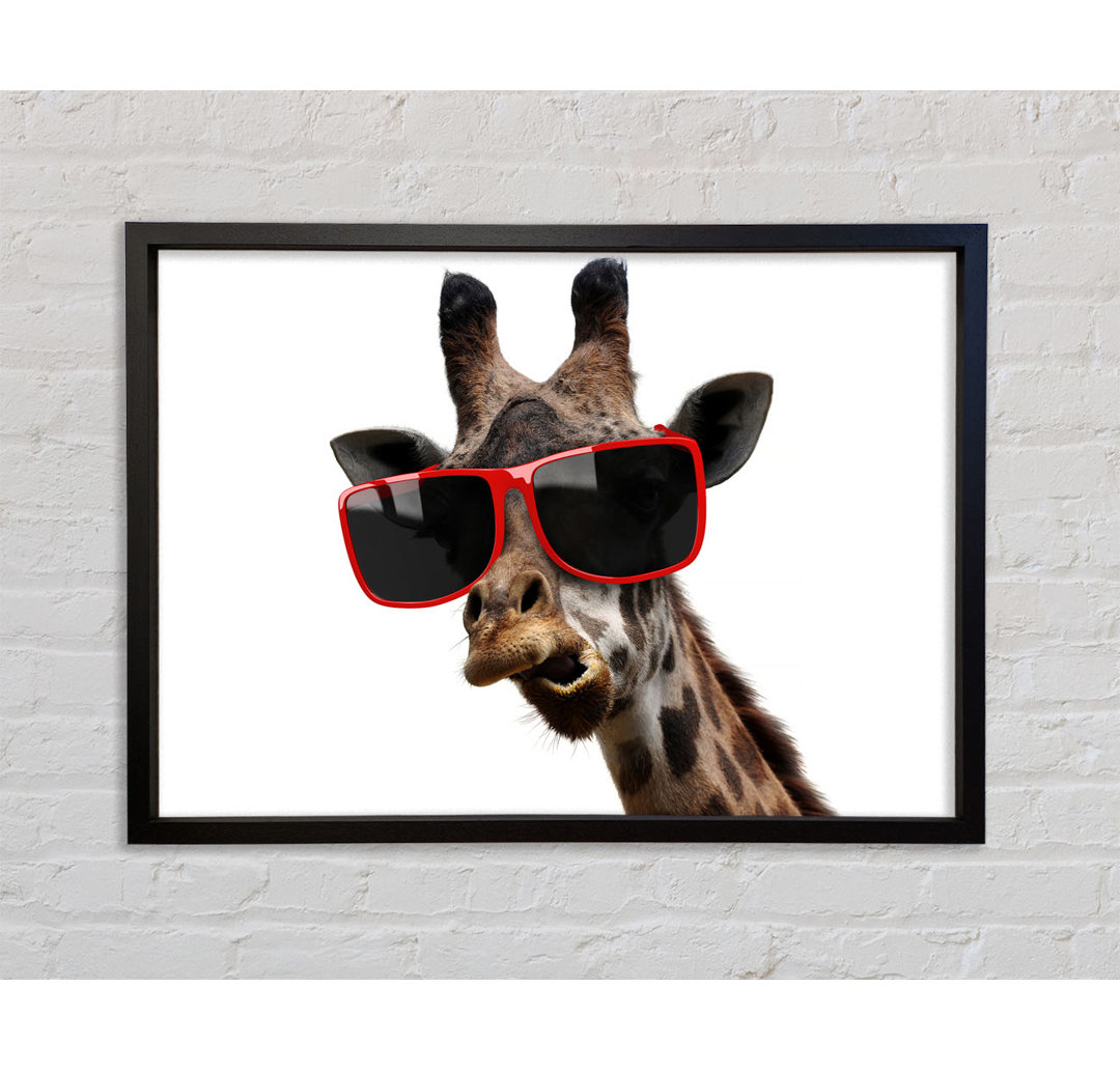 Funky Faced Giraffe - Druck