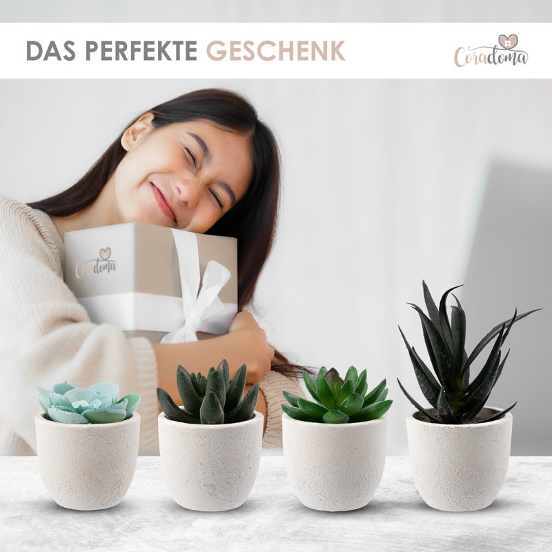 14 cm H Faux Bonsai Succulent Plant, Highgloss sand grey
