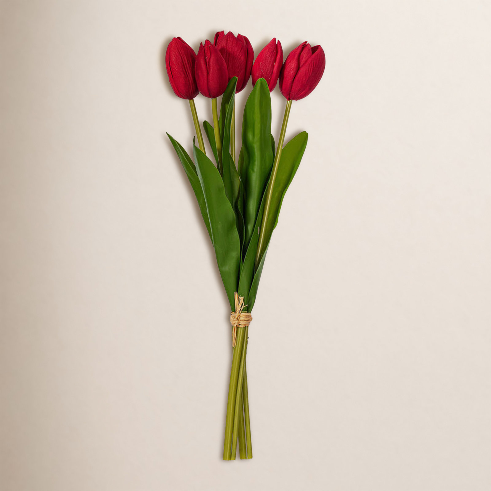 16"H Plum Tulip Bundle of 5., Red