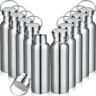 Paquet de 10 bouteilles d'eau isothermes en acier inoxydable 20 oz à double paroi en métal avec couvercle étanche et couvercle étanche pour les cyclistes de voyage (argent)