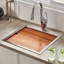 Vino 21" L x 20" W Drop-In Kitchen Sink with Basket Strainer