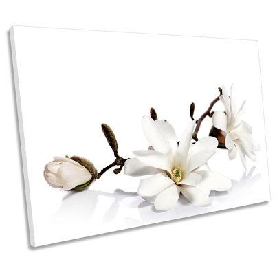 White Magnolia Flowers Floral - Wrapped Canvas Print