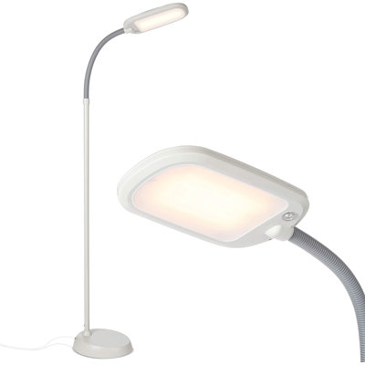Litespan Slim 55 in. Industrial Dimmable LED Directional Task Floor Lamp