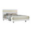 Full Bedroom Set, Black and Gold, 2 Piece Set with Nightstand-133029859