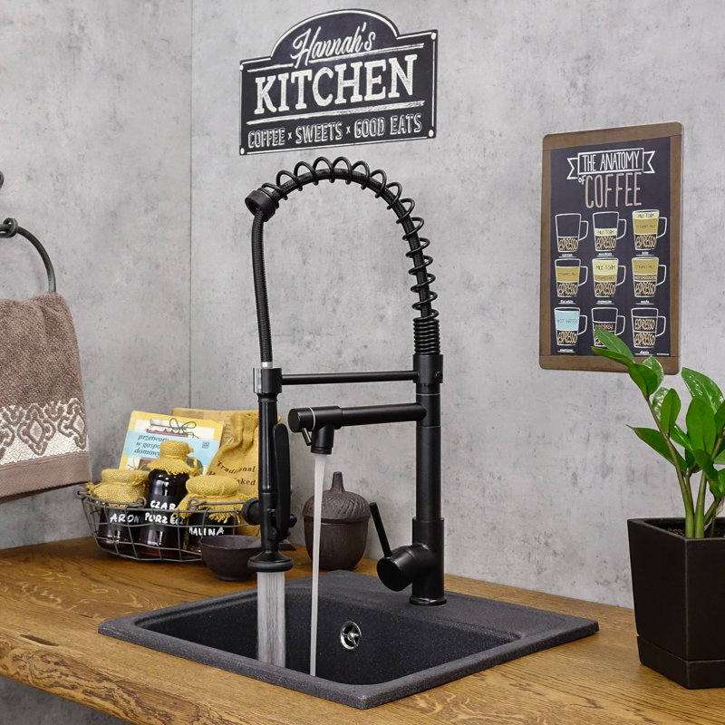 Belfry Kitchen Kitchen Faucet
