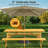 8 Person  Wooden Picnic Table-1370903194
